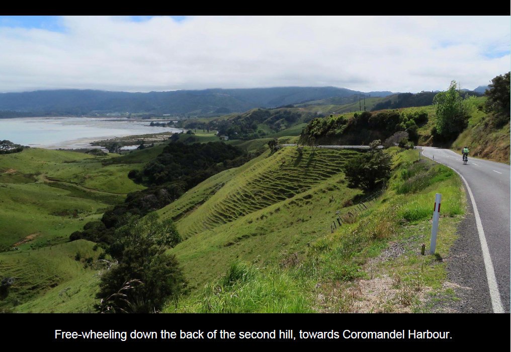 coro201506.jpg (200799 bytes)